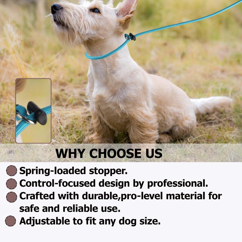 Slip Lead Dog Leash – 5/16 Inch Nylon Rope No