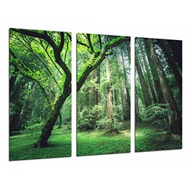 Picture Camera 97 x 62 cm Multi-Coloured