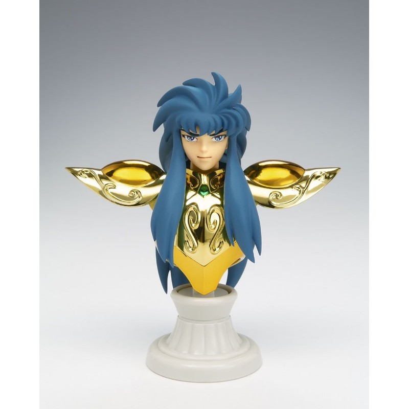 Bandai Saint Cloth Myth APPENDIX Aquarius Camus