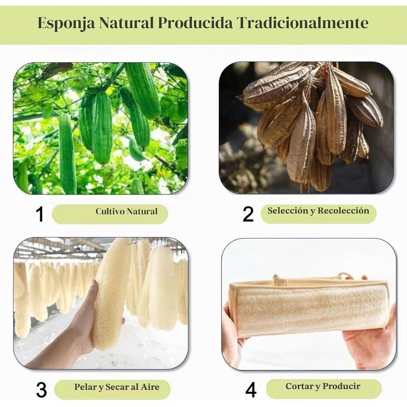 Esponja de lufa natural para la espalda, exfoliante corporal, exfoliante