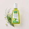 Rausch Swiss Herb Care Shampoo 200 ml shampoo