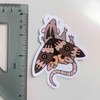 Rat Bug Stickers! - Which Ratbug?: Ratbee
