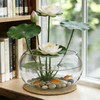 12" Large Round Glass Lotus Bowl Planter with Rattan Mat