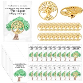 Solsew 60 Set Employee Appreciation Gifts Bulk Inspirational Lapel Pin with Thank You Cards Organza Bags Team Appreciation Building Recognition Gifts for Office Staff Coworker School (Bulb)