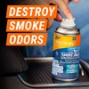 Armor All Fogger Rapid Odor Eliminator 2 Oz. Car Bomb