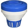 Pentair R171060 330 Linear Polyethylene Floating Chemical Dispenser with Screen