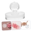 NOLITOY Eye Shadow Plate Eyeshadow Applicator Stamp Makeup Sub Accessories