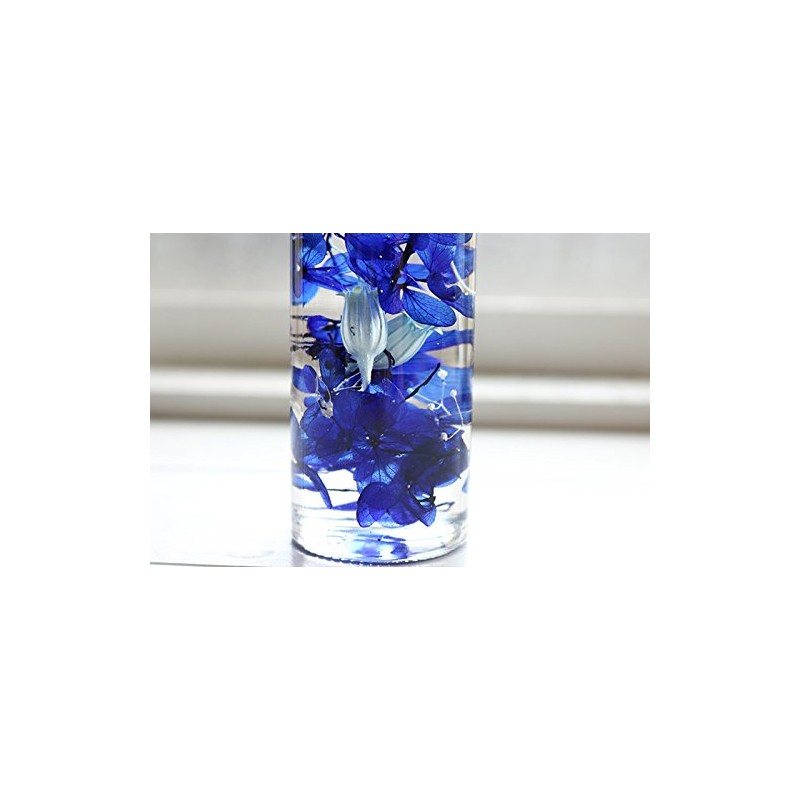 Hortus siccus Blue Colors Series 紫陽花 Daisy Mini Gypsophila Herbarium