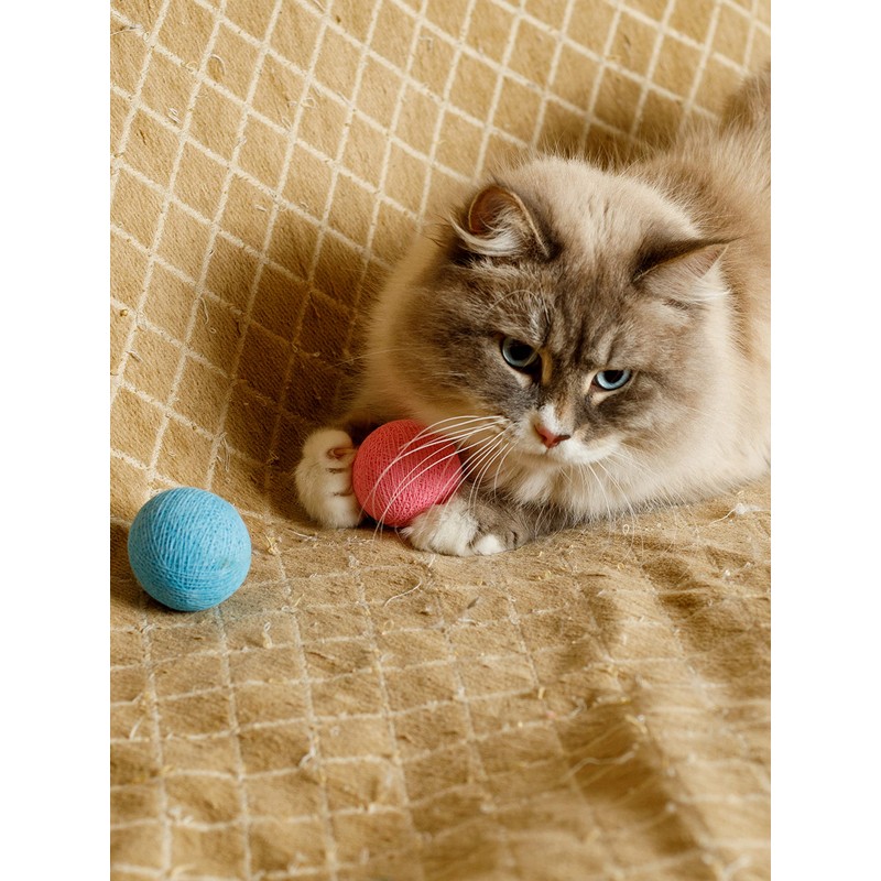 CattyMan Cat Cat Ball Play Karafuru