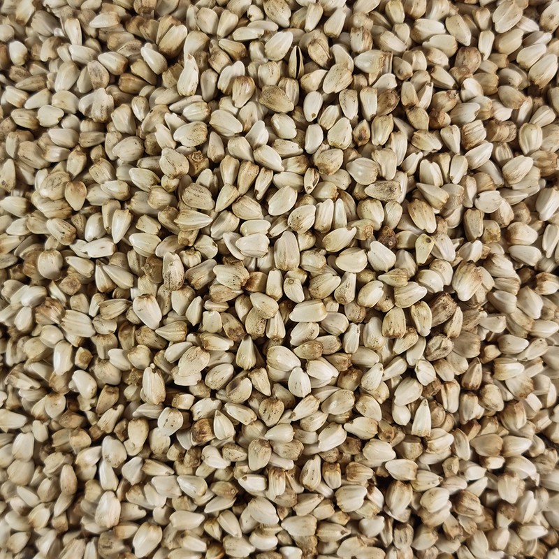 Oh Herb Domestic roasted safflower seeds 500g / 국산 볶은