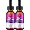 Gut Drops (2 Pack) Gut Drops – GutDrops Extra Strength