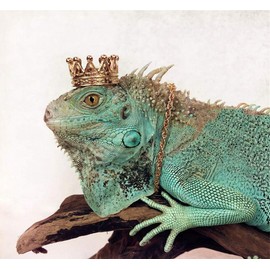 HAICHEN TEC Lizard Crown Reptile Clothes Accessories for Bearded Dragons Gold Alloy Crown Cool Stylish Costume Photo Props Reptile Jewelry for Dragons Iguana Amphibians (Crown)