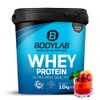 Bodylab24 Whey Protein Pulver, Fruchtmix, 1kg