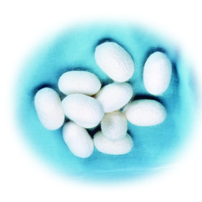 Selvan Loose Knit Silk Blend Supporter for Ankles, Set of