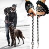 Dog Leash Metal Leashes Chain Rope with Pet Collar Training