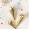 100 Pieces Cone Shaped Treat Bags, Cone Shaped Cellophane Treat