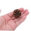 VICASKY 100pcs Christmas Natural Pine Cones - Thanksgiving Mini Pinecones