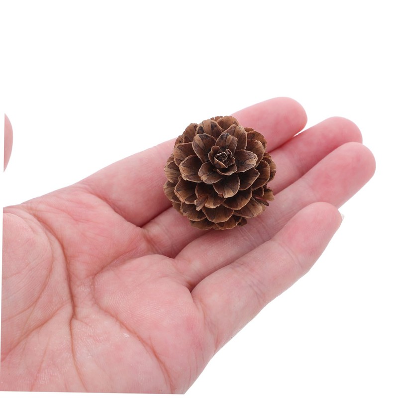 VICASKY 100pcs Christmas Natural Pine Cones - Thanksgiving Mini Pinecones