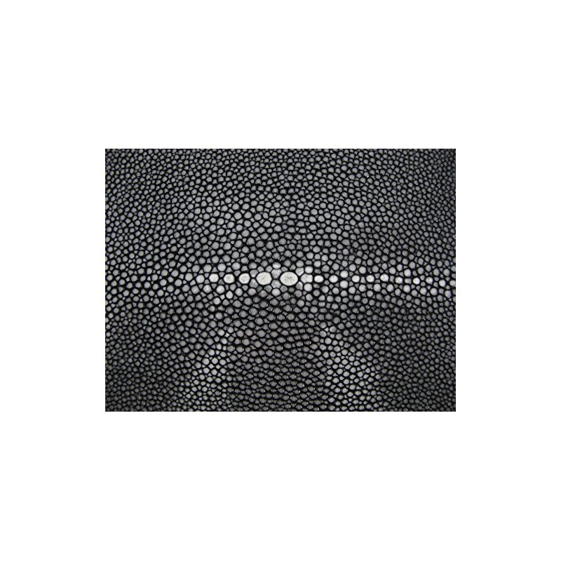 PELGIO★エイ革のスキン★黒色★40センチ★ポリッシュ