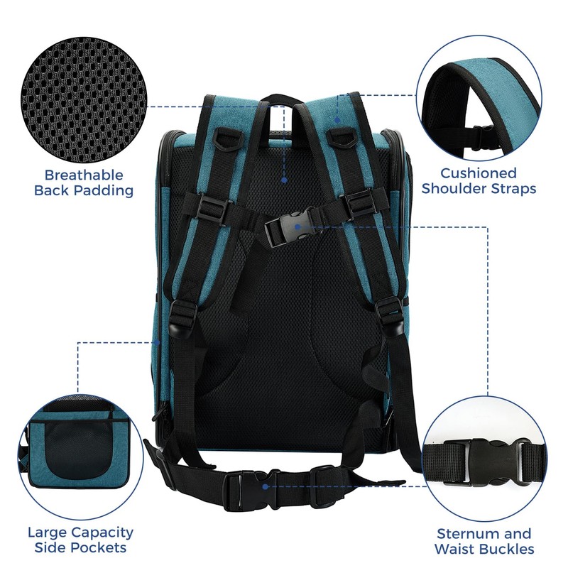 Apollo Walker Dog & Cat Carrier Backpack for 4-18lb Pets