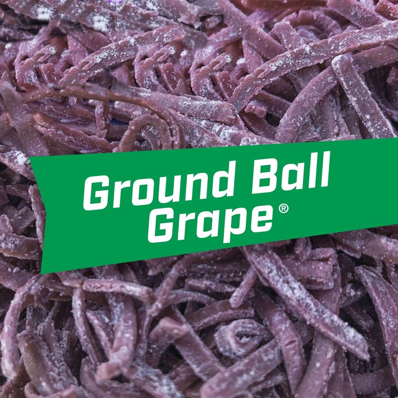 Big League Chew Ground Ball Grape Bubble Gum - Juicy