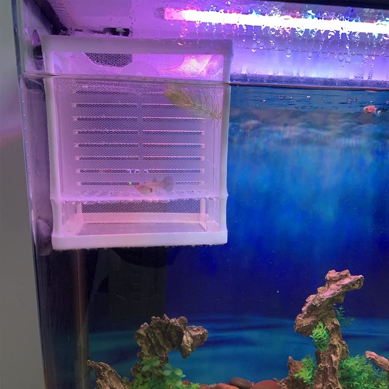 Aquarium Breeding Boxes,CHENKEE 3 pcs Fish Breeder Net Fry Hatchery