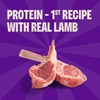 Wellness Puppy Treats, Natural, Training Treat, Grain Free, Soft Lamb