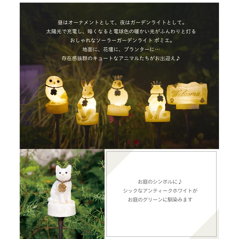 Solar Light, Garden Light, Outdoor, Waterproof, Stylish, Cute, Interior, Garden,