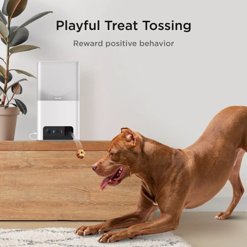 Petcube Bites 2 Lite Interactive WiFi Pet Monitoring Camera with