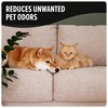 Dirt Devil Pet Carpet Powder, 32 oz, Room Refresher and