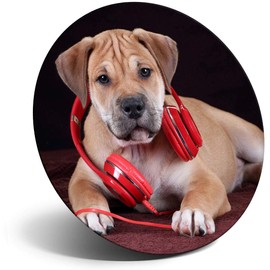 Destination Vinyl ltd Magnet for Refrigerator, Fridge - Cute Headphone Puppy Dog for Office, Cabinet and Whiteboard, Magnetic Stickers, 3342