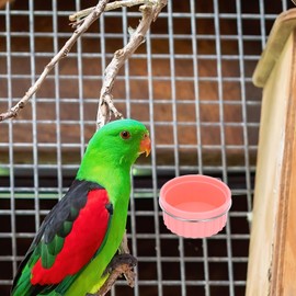 BESPORTBLE Bird Feeder Bowl Set Stainless Steel for Parrots Cats Dogs Small Pet Feeding Slip Pink