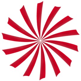 YELARXI Arrow Vanes Turkey Archery Arrows Feather Fletching, 4 Inch Left Wing Fit for Hunting Target Shooting (25Pcs Red)