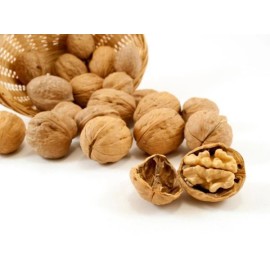 nuts n more ENGLISH  WALNUTS IN  SHELL  3 lbs  *CRACK IT * FEED IT * EAT  IT * Fresh Stock
