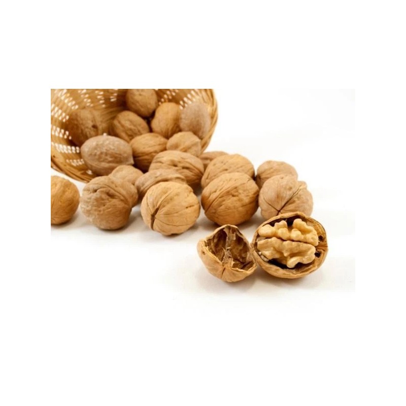 nuts n more ENGLISH WALNUTS IN SHELL 3 lbs *CRACK