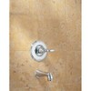 Delta T14155-LHP Victorian Monitor 14 Series Bathtub Trim Without Handle,