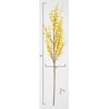 Worth Imports 57" Forsythia Stem