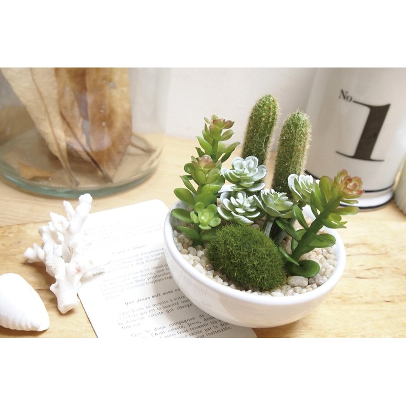 Kishima CT Catalyst Deodorizing Artificial Green Succulent