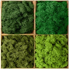 Preserved Moss Reindeer Moss Natural Dried Multicolored Floral Moss Bulk Moss for Crafts DIY Arts Wall Home Office Terrariums Wedding Centerpieces Decoration (Multicolored,2.2 lb)