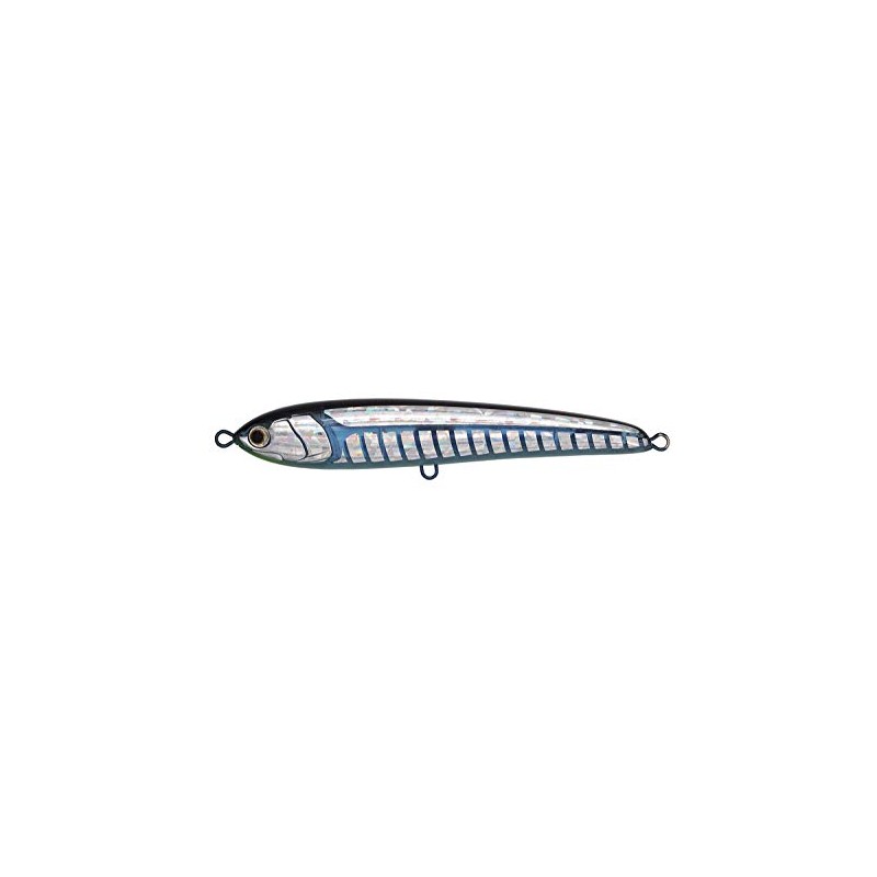 Yamashita B24D Pencil Bait Rapid F160, 6.3 inches (160 mm),