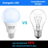 Wiyifada 3 Way LED Light Bulbs 4 Pack, 3 Way