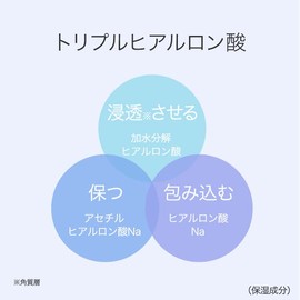 Moisture All-in-One Moisturizer 16.9 fl oz (500 ml)