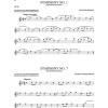 101 Classical Themes for Flute