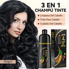 Kaisasa Shampoo Cubre Canas Tinte Instantaneo Para Canasshampoo cubre canasshampoo de jengibrechampu tintechampu tintechao canasshampoo natural500ml  
