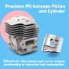 GLOXTED P100006300 Cylinder Piston Kit Replacement for Echo Model PB-8010