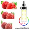 FanNicoo E12 LED Bulb, 6pcs 20W LED Corn Light Bulb