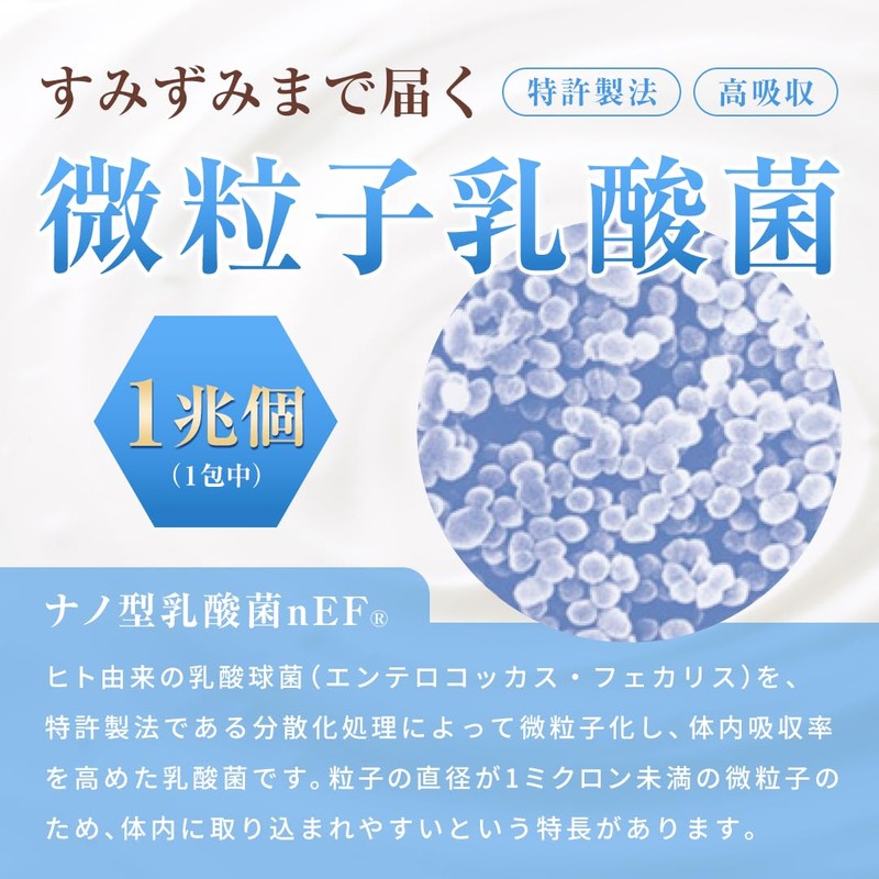 乳酸菌10000／ROTTS-1（2g×30包） ナノ型乳酸菌 微粒子乳酸菌 ミルクオリゴ糖 ラクチュロース 乳酸菌生産物質 シトルリン イヌリン 配合 サプリメント