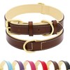 HSIGIO Genuine Leather Dog Collar, Soft Padded Dog Collar Leather,