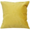 Betadistor Orange Cushion Covers 18x18Inch 2-Pack: Soft Decorative Throw Pillow
