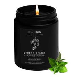 BEAUT100 Stress Relief Candle | Scented Candles for Men & Women | Eucalytus & Spear Mint Candle, Long Lasting Relax Soy Candles for Home.